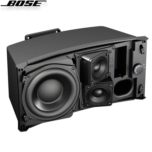 Loa Bose FreeSpace DS 100SE 11